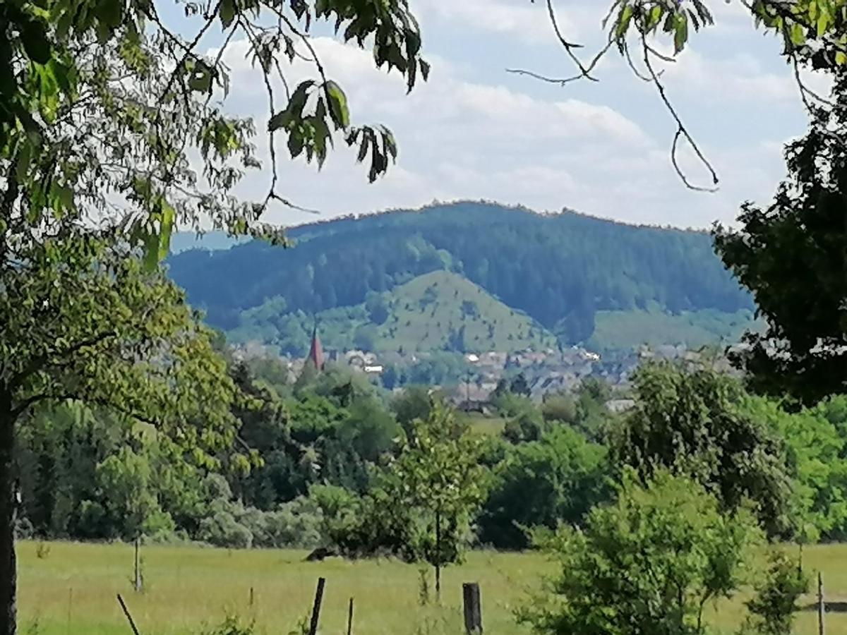 Fewo-Turmblick-Rottweil Exterior photo